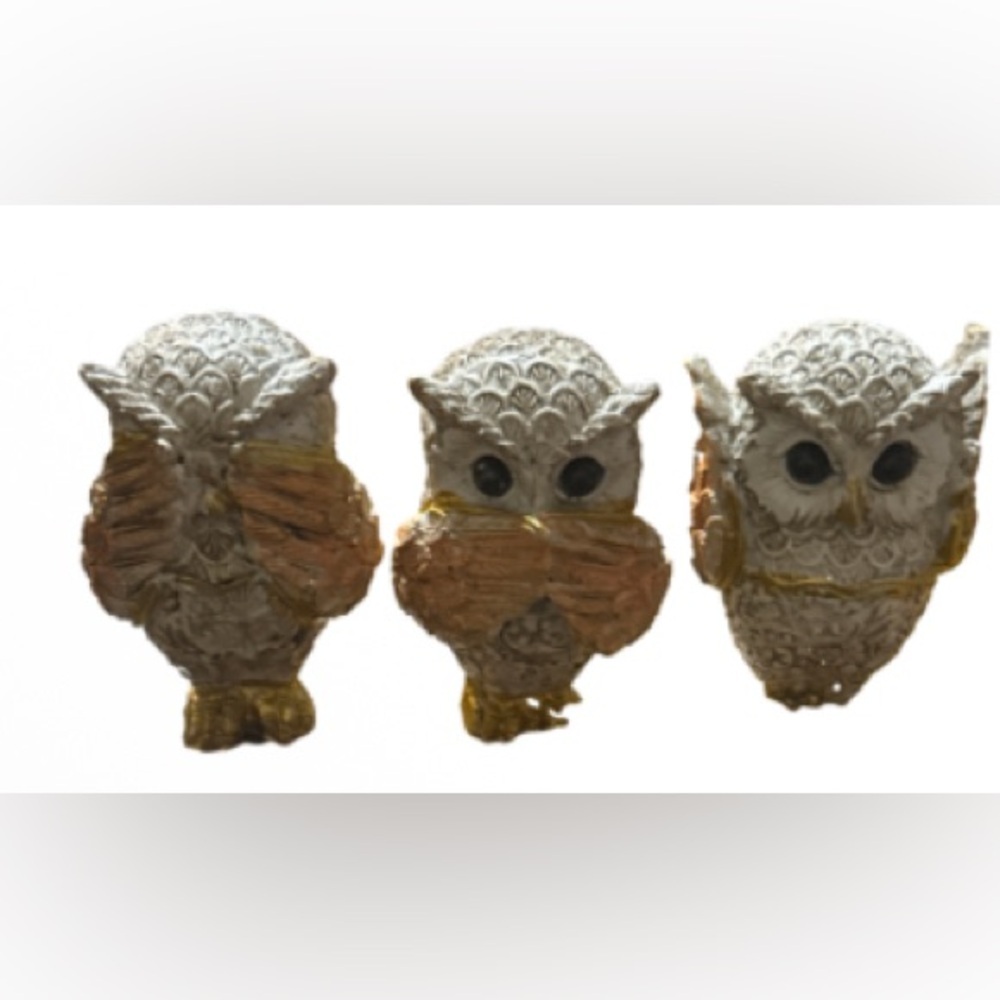 Decorative trio  Owl Figurines with Gold Accents - Picture 5 of 6